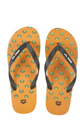 BEACH FLIP FLOP FUN