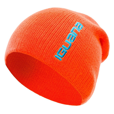 Męska czapka zimowa IGUANA ASPAR beanie